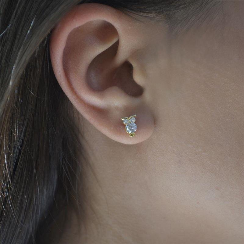 Brinco Coruja Cravejada